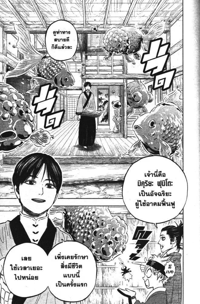 หน้า 3 จาก 17