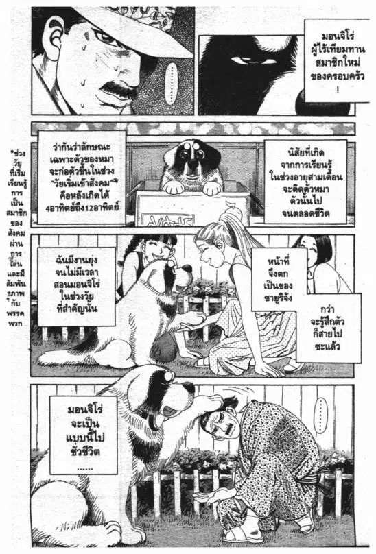 หน้า 3 จาก 20