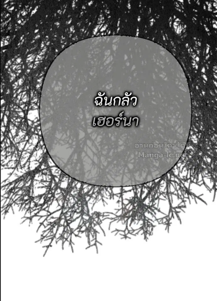 หน้า 4 จาก 144