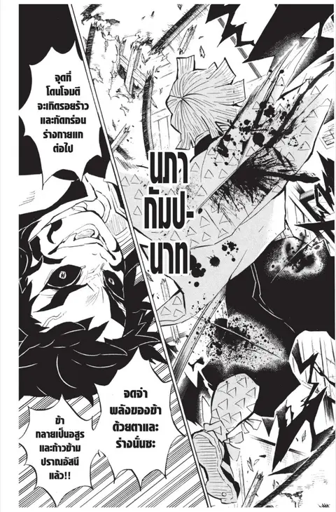 หน้า 55 จาก 185