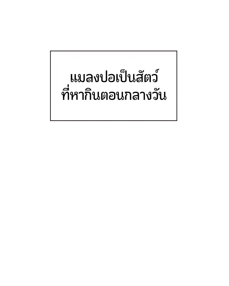 หน้า 138 จาก 165