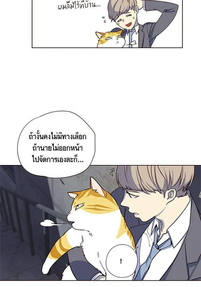 หน้า 41 จาก 98