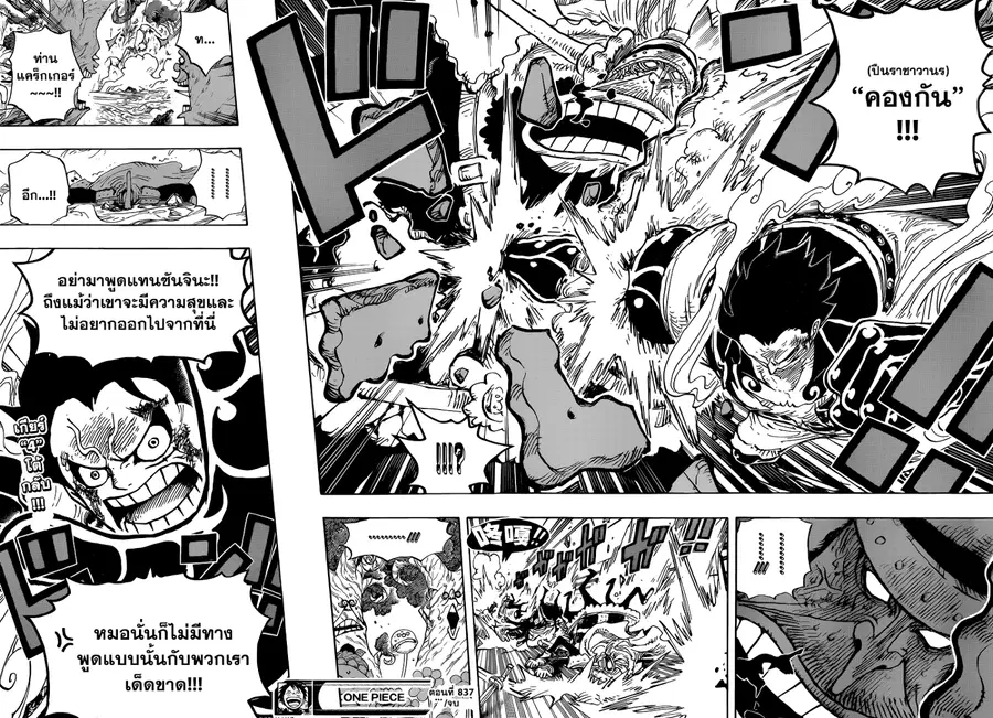 หน้า 12 จาก 13