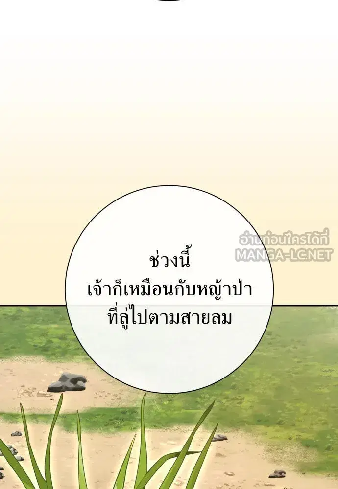 หน้า 126 จาก 184