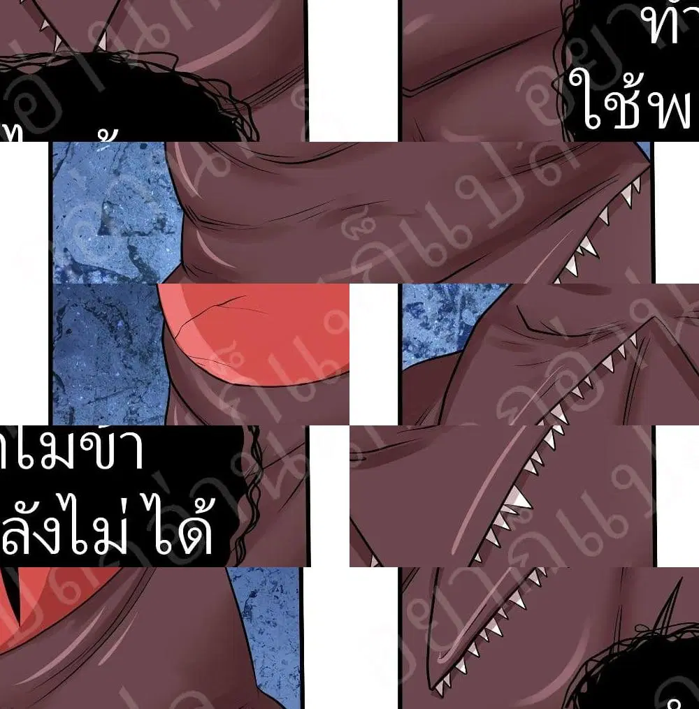 หน้า 9 จาก 14