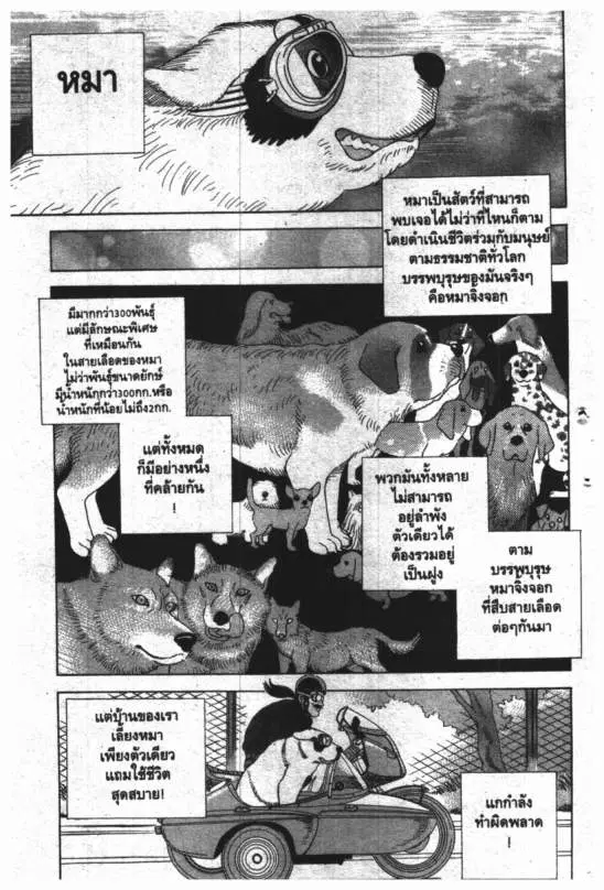 หน้า 2 จาก 24