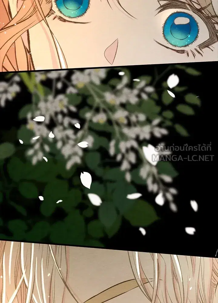 หน้า 42 จาก 115