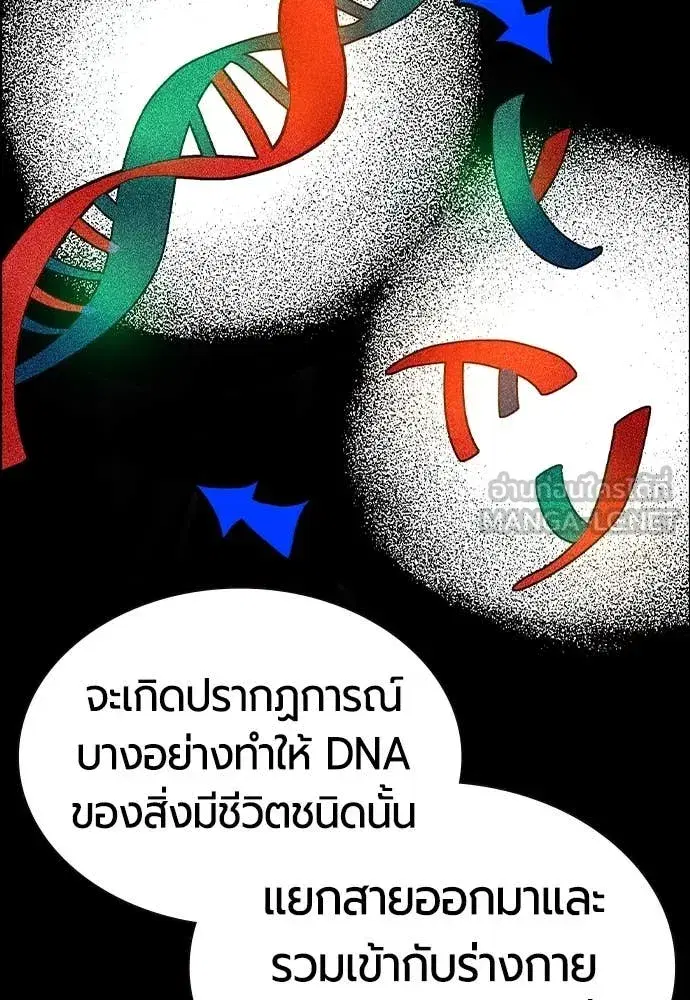 หน้า 41 จาก 173