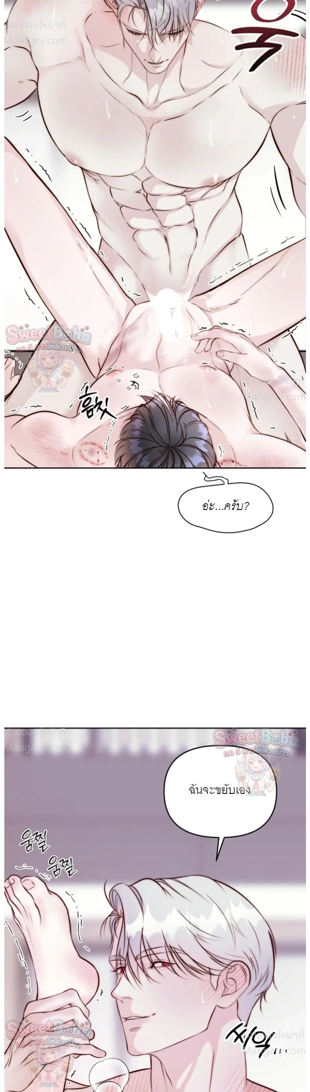 หน้า 21 จาก 43