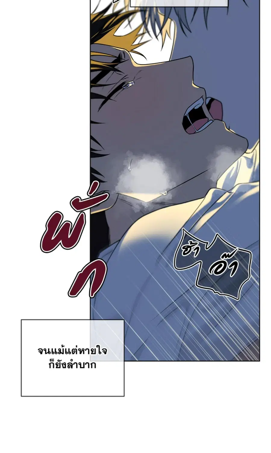 หน้า 53 จาก 71
