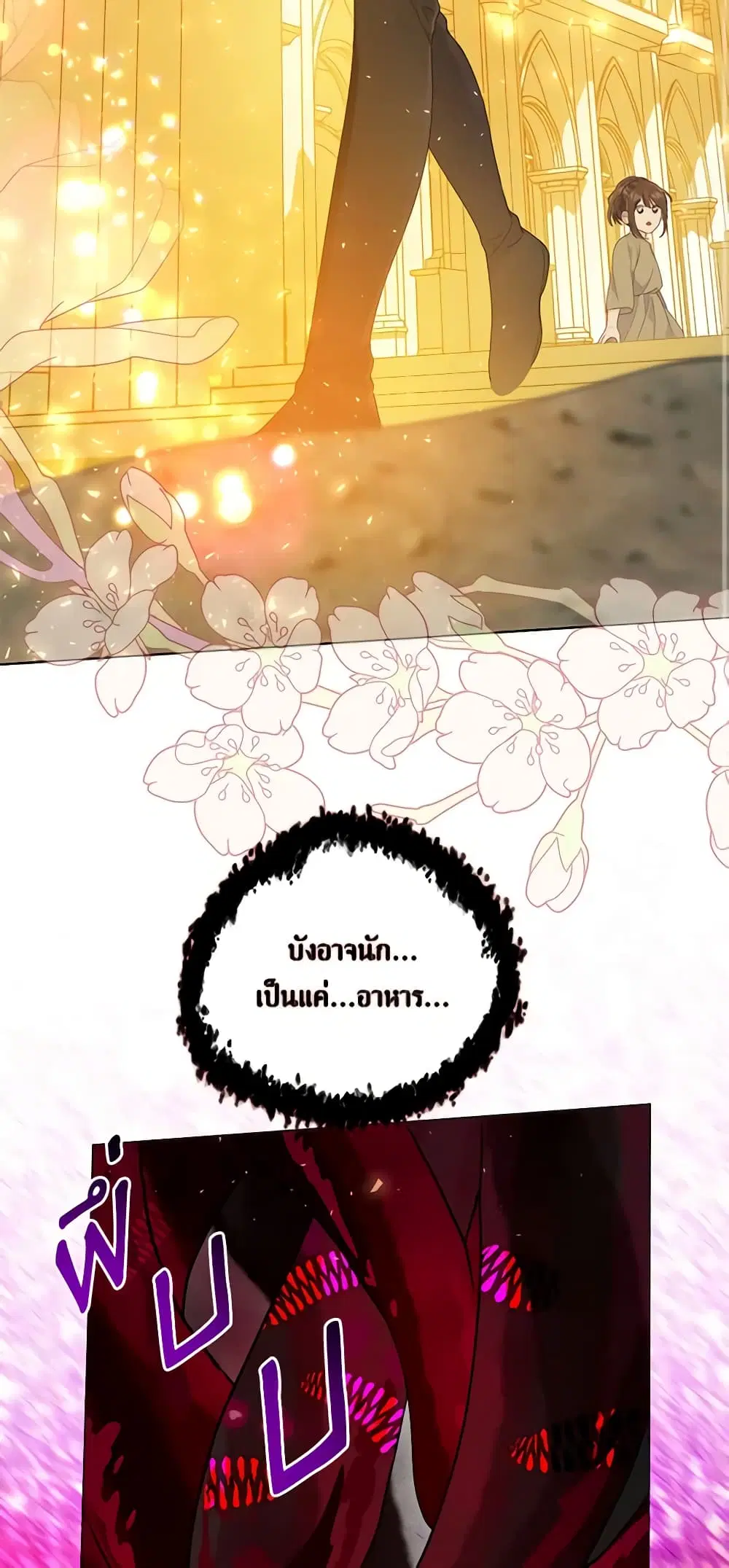 หน้า 24 จาก 62