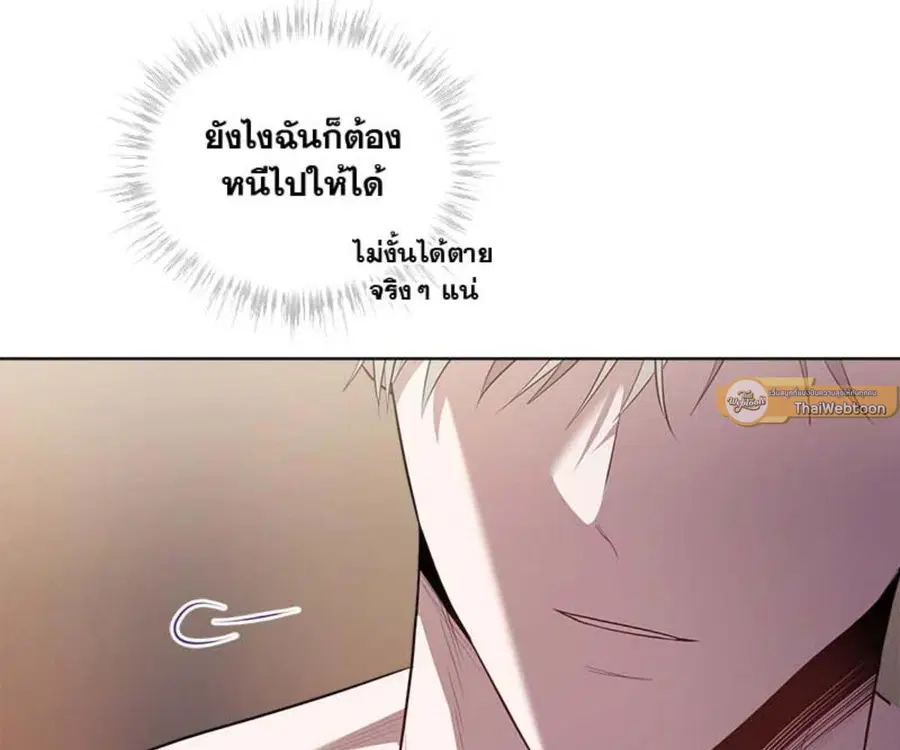 หน้า 61 จาก 175