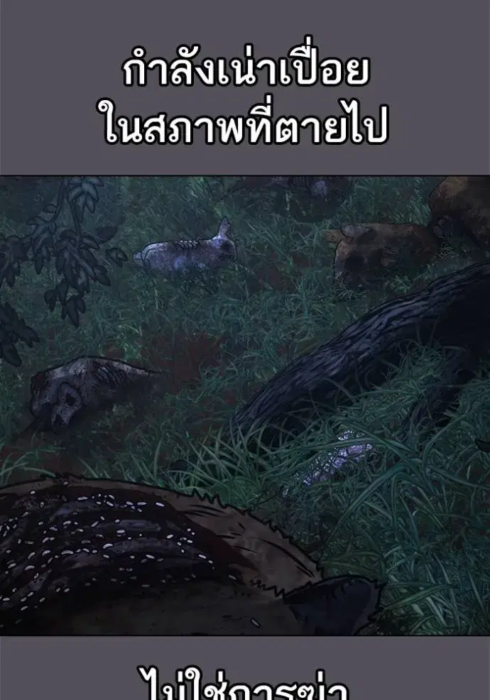 หน้า 62 จาก 220