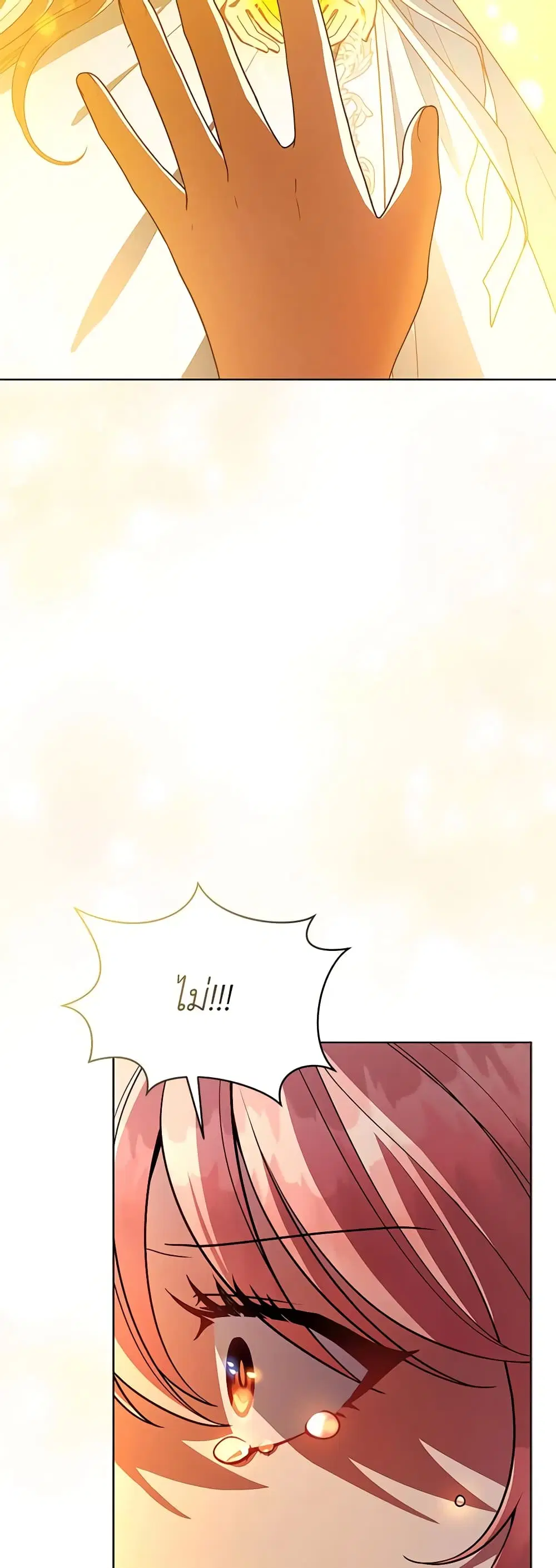 หน้า 26 จาก 52