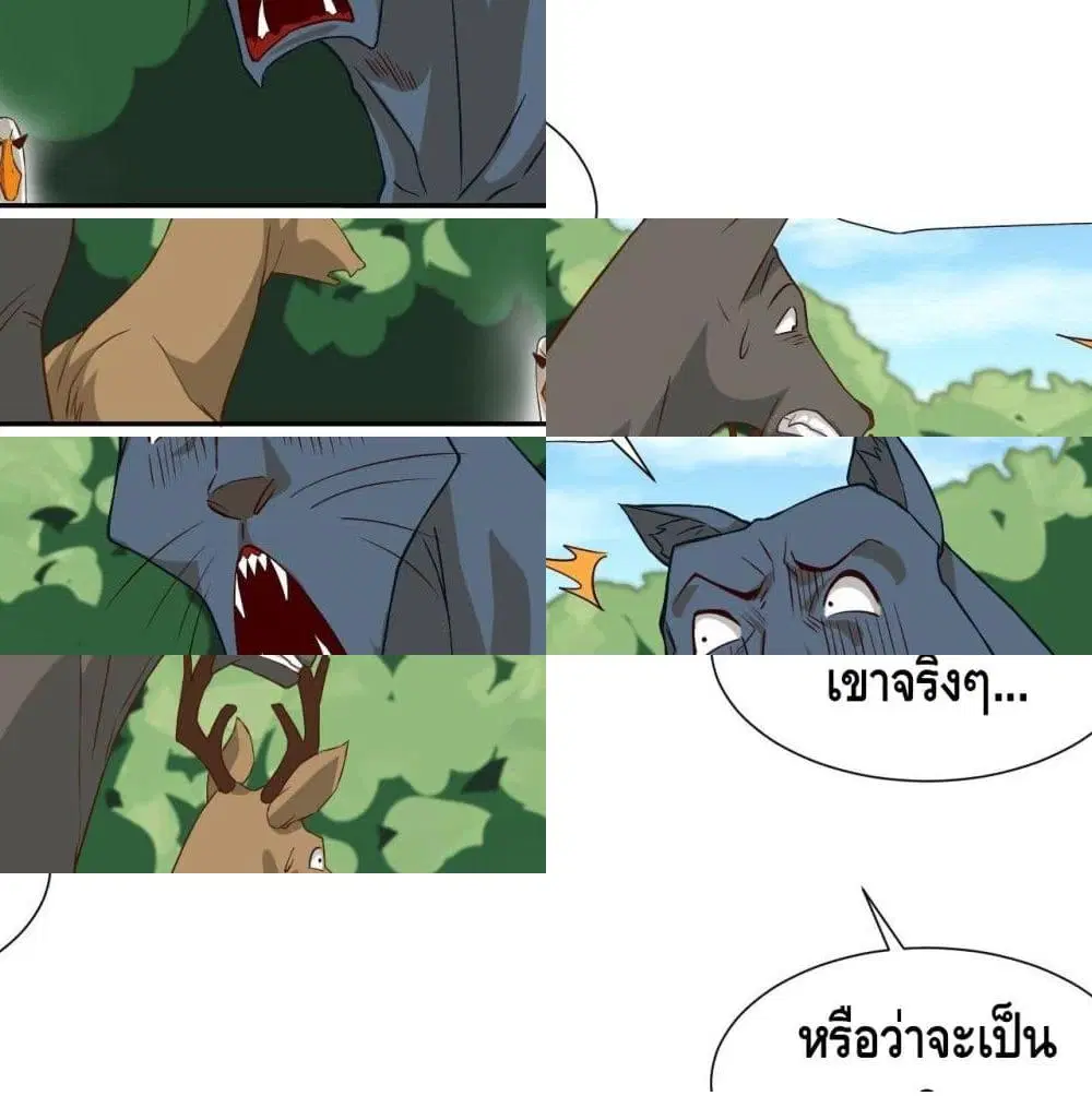 หน้า 5 จาก 14