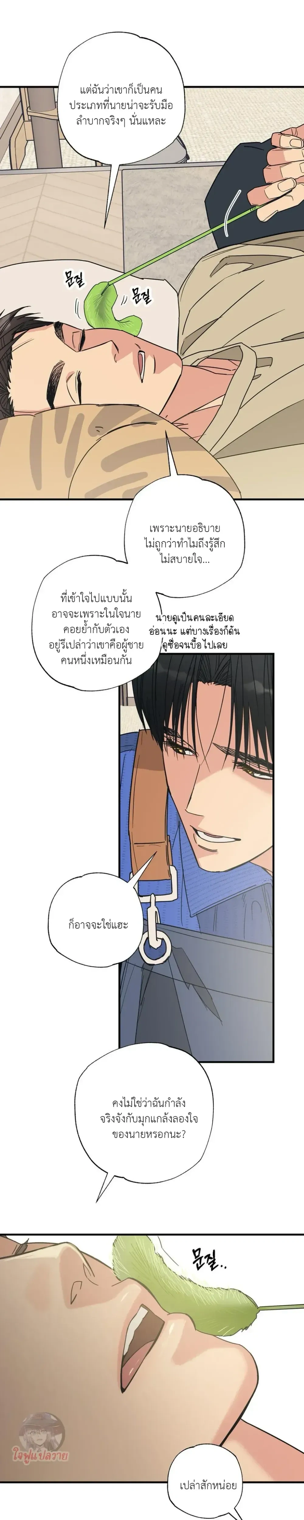 หน้า 13 จาก 19