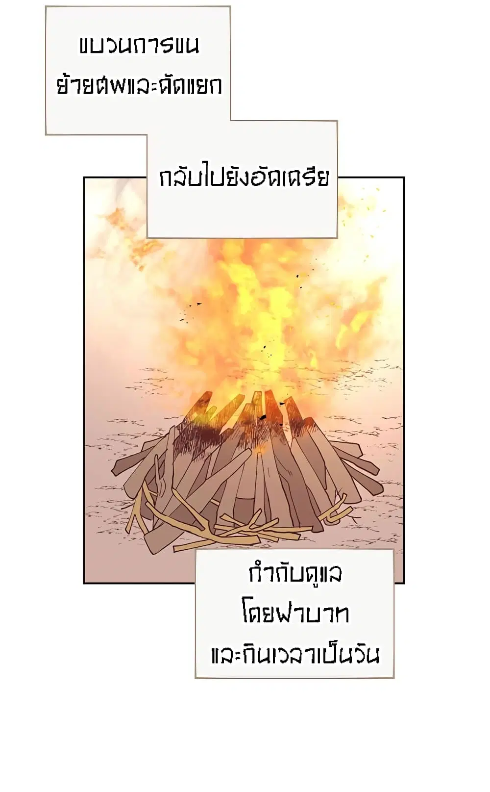 หน้า 21 จาก 49
