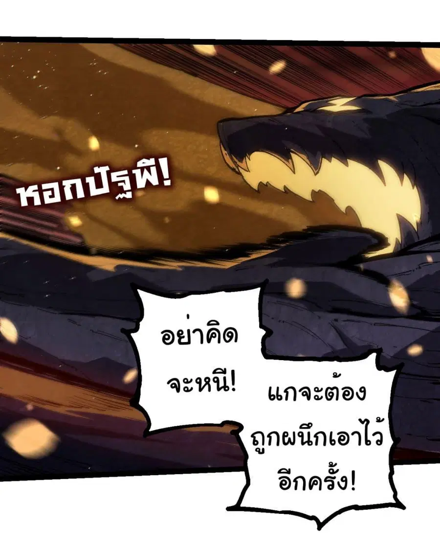 หน้า 11 จาก 31