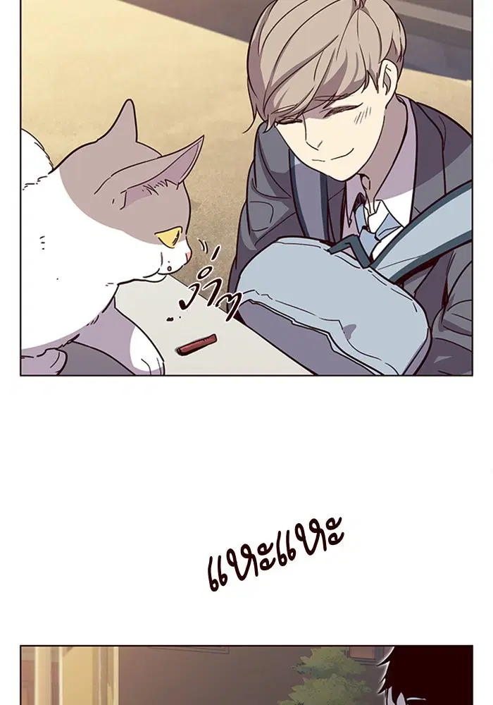 หน้า 46 จาก 111