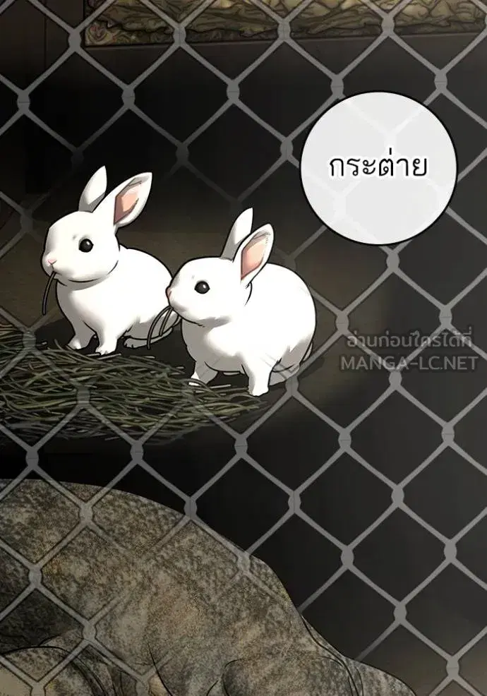 หน้า 66 จาก 190
