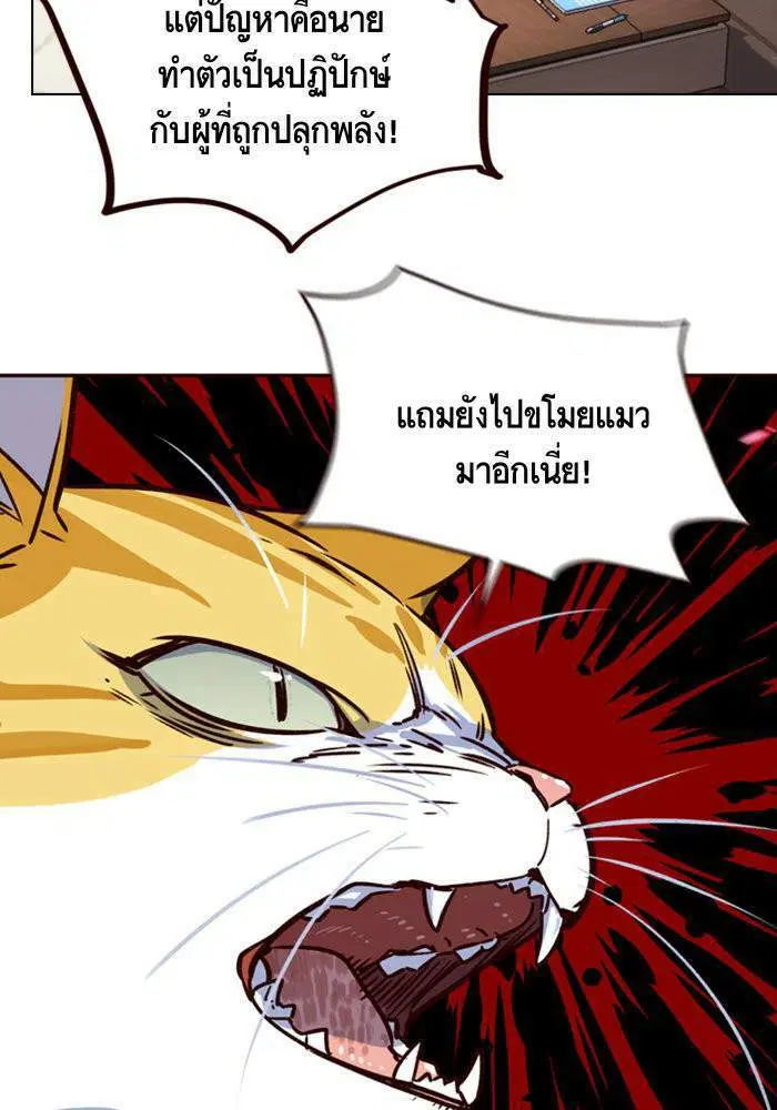 หน้า 17 จาก 85