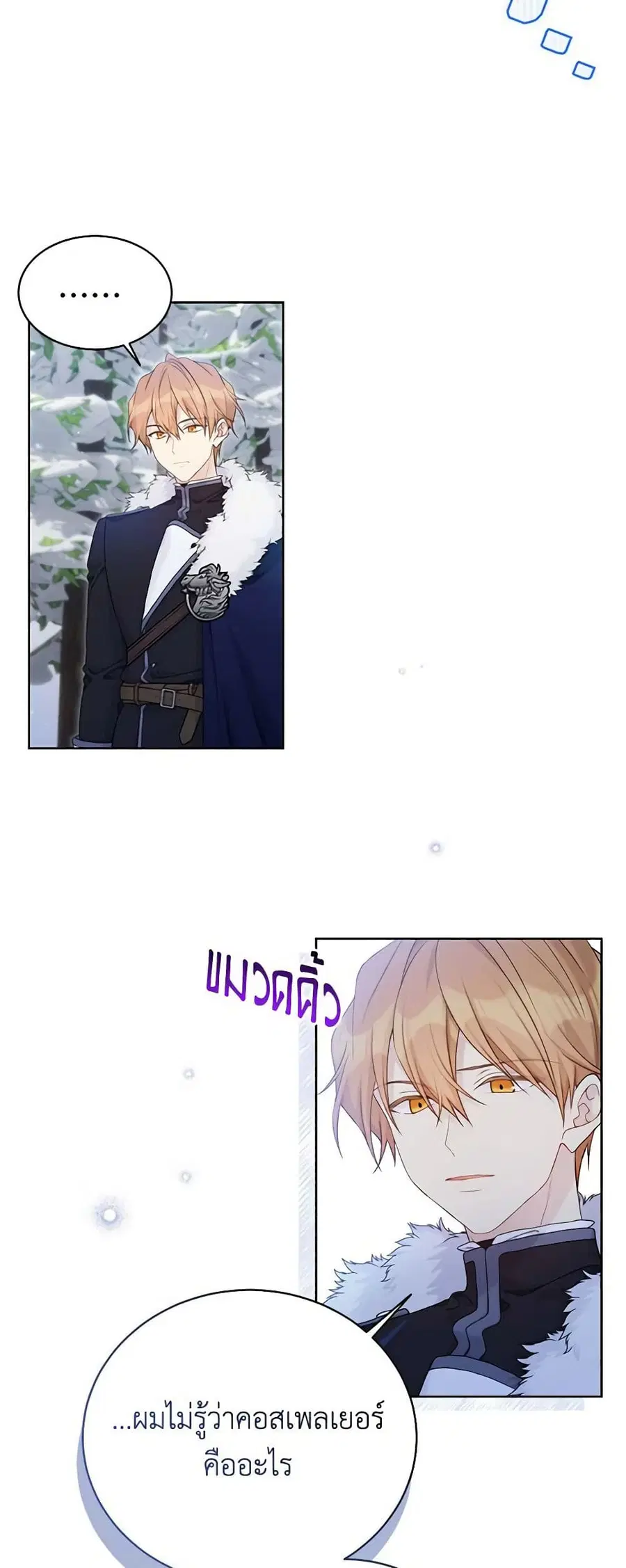 หน้า 3 จาก 36