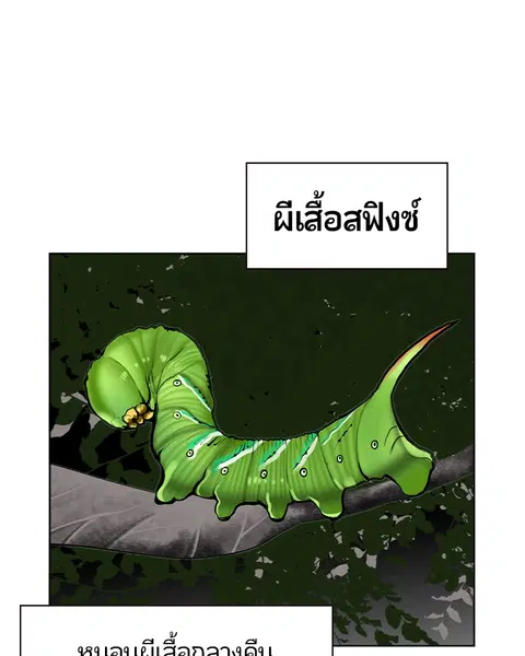 หน้า 28 จาก 171