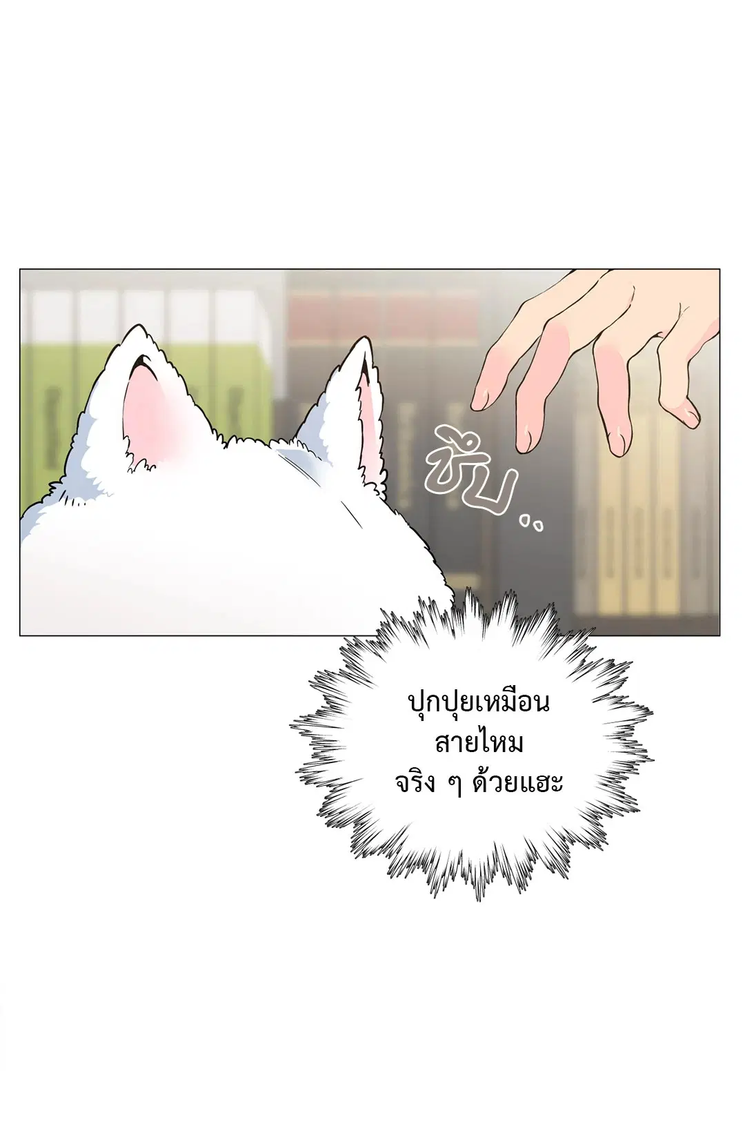 หน้า 47 จาก 92