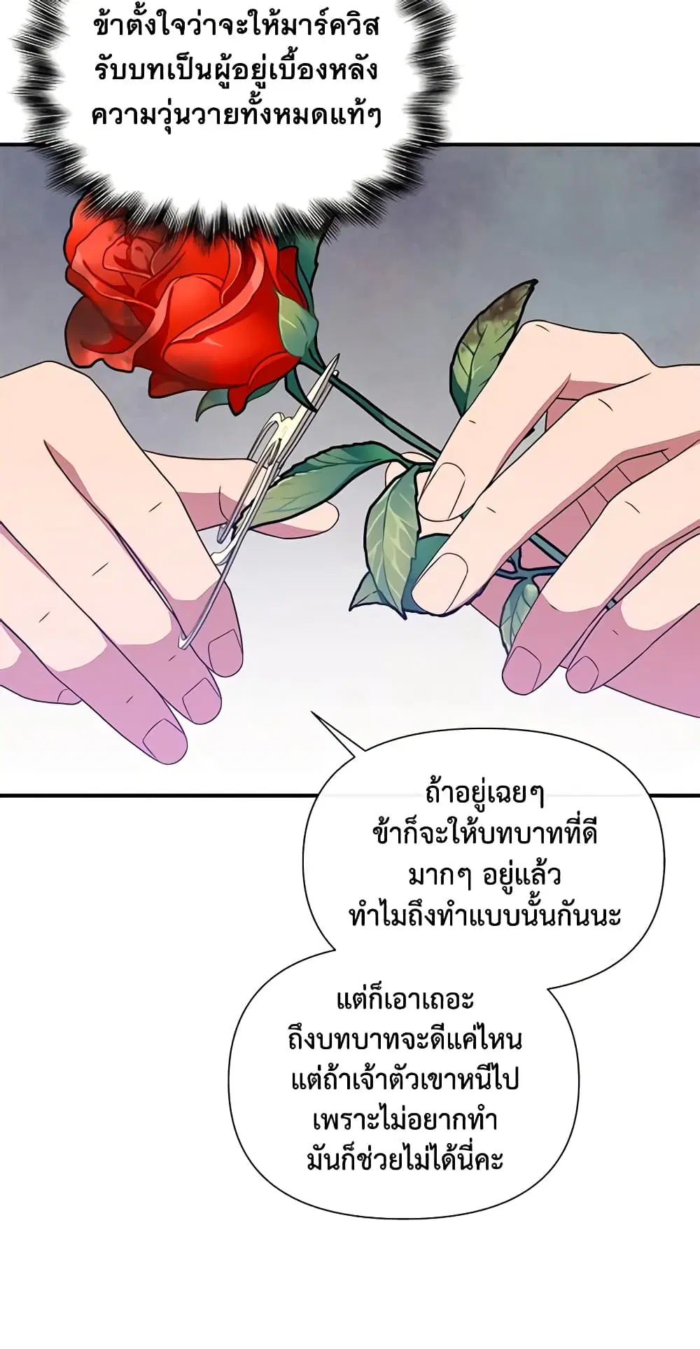 หน้า 17 จาก 50
