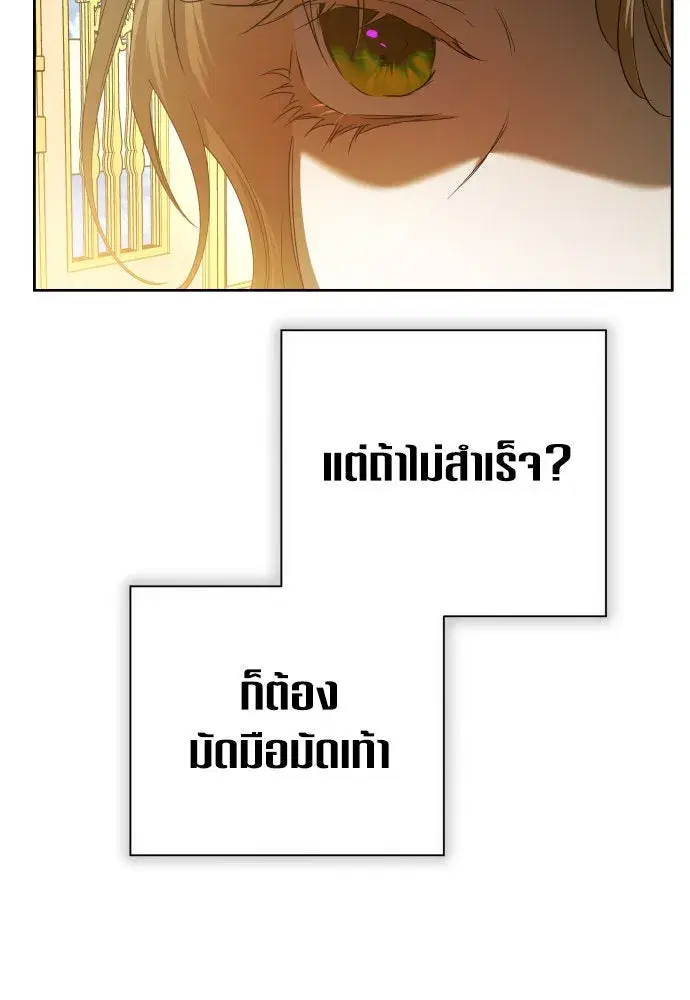 หน้า 113 จาก 169