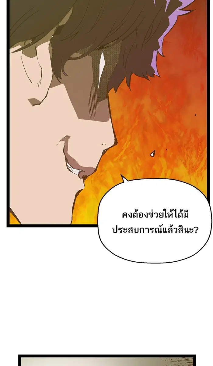 หน้า 41 จาก 95