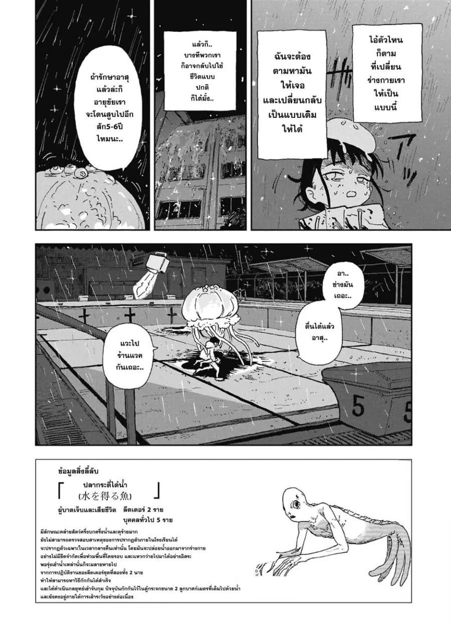 หน้า 41 จาก 43