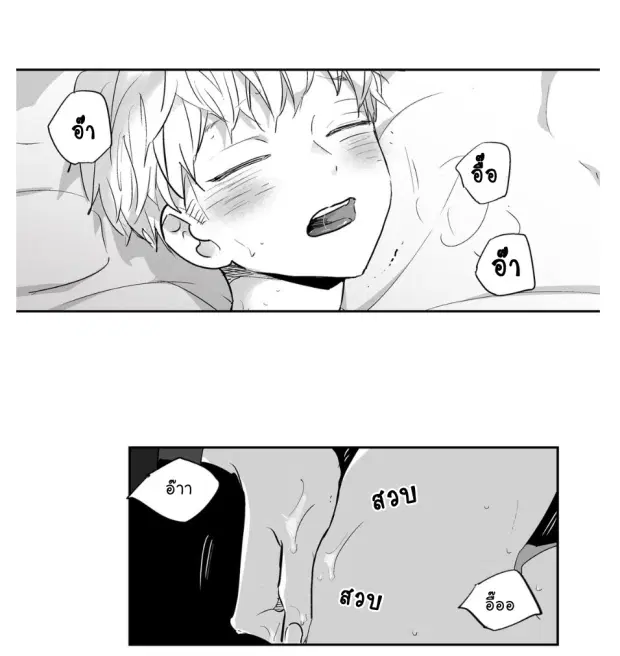 หน้า 8 จาก 40