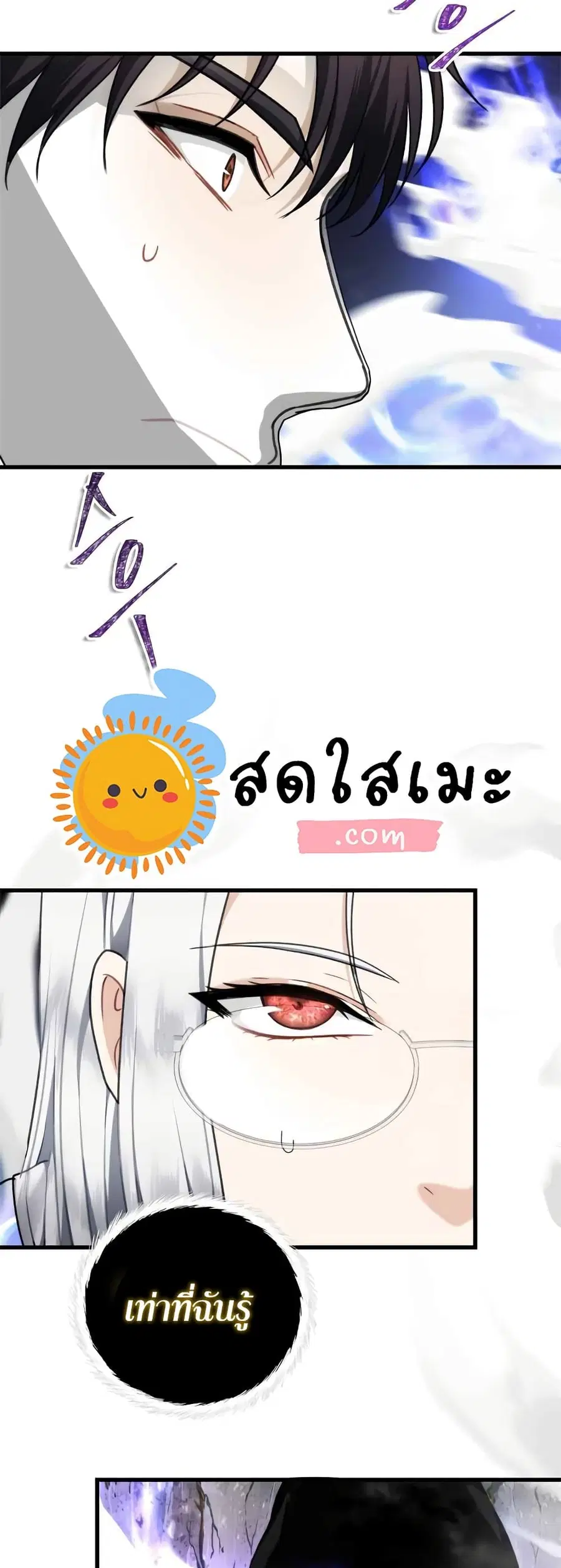 หน้า 13 จาก 43