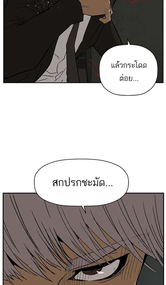 หน้า 43 จาก 109