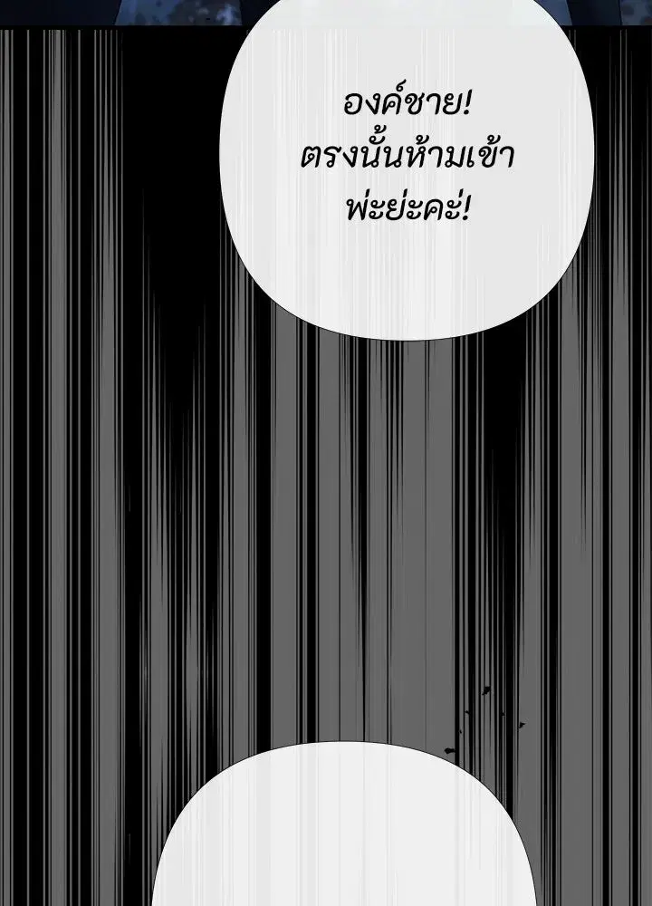 หน้า 143 จาก 177