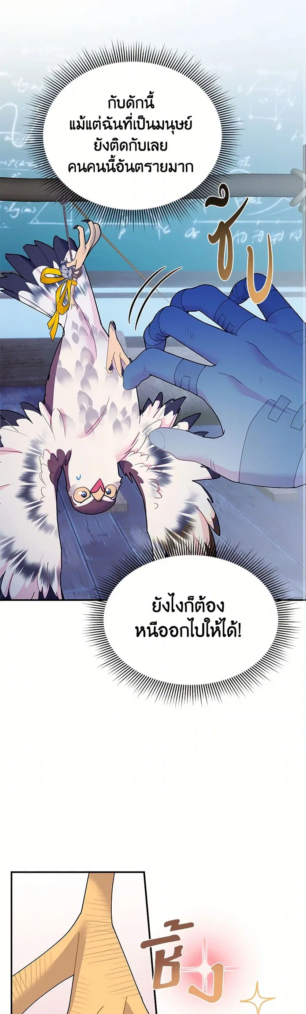 หน้า 1 จาก 41