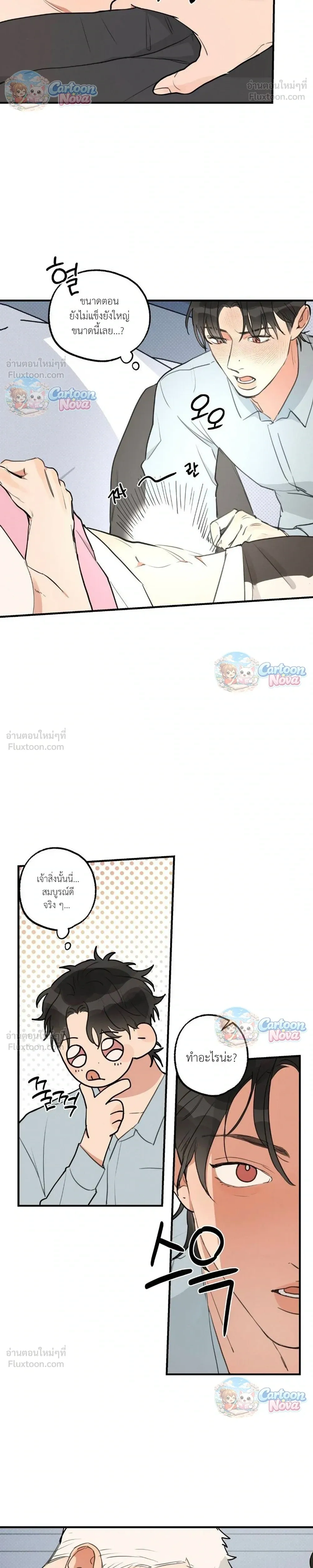 หน้า 17 จาก 20