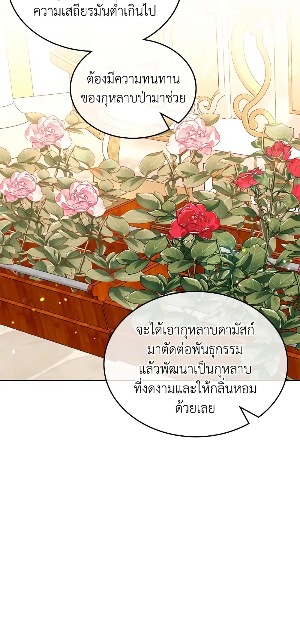 หน้า 4 จาก 40