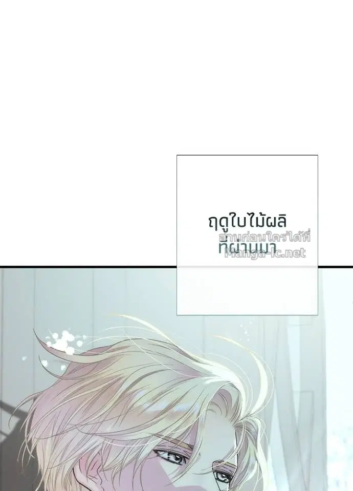 หน้า 58 จาก 158