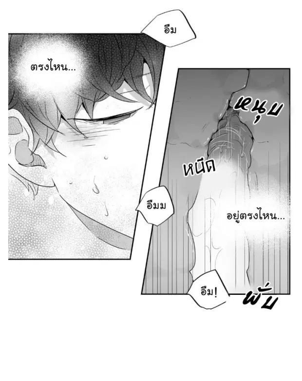 หน้า 12 จาก 40