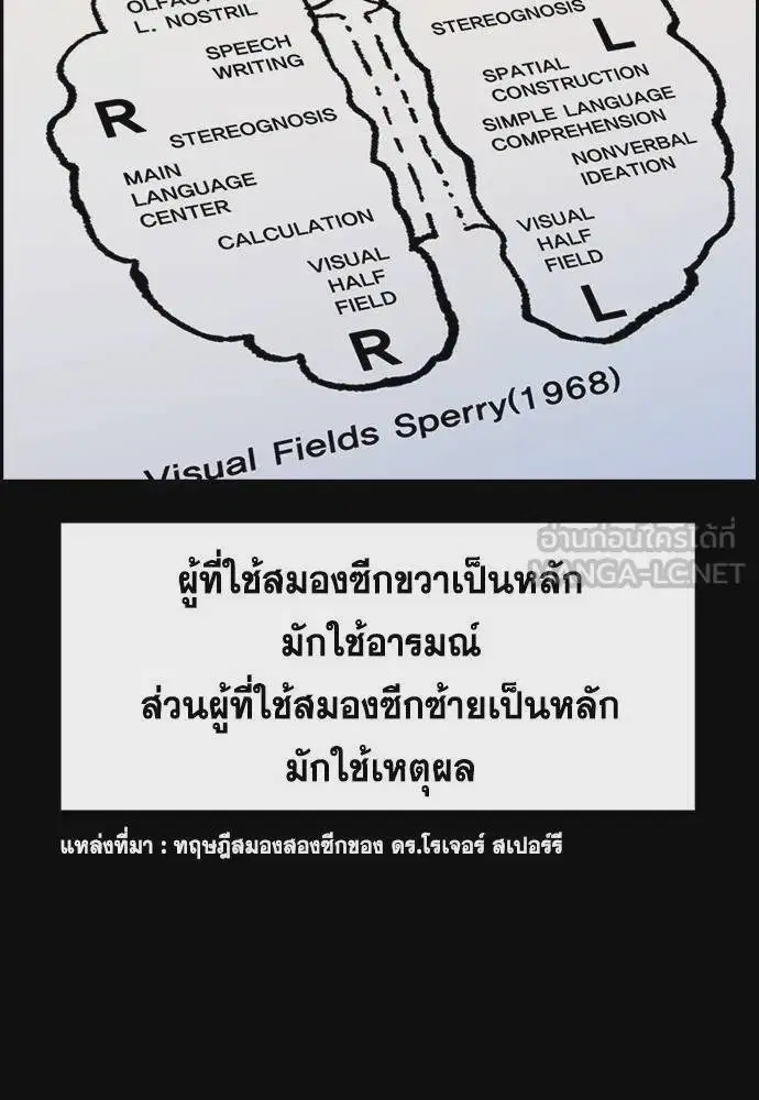 หน้า 48 จาก 133