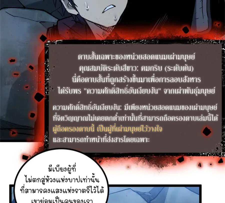 หน้า 17 จาก 55