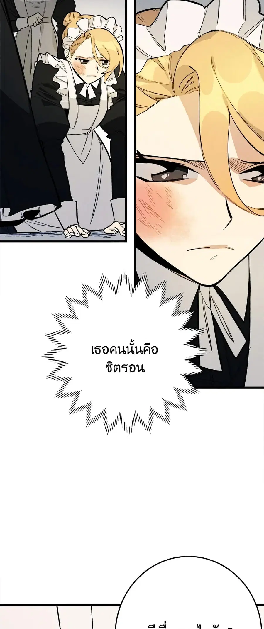 หน้า 3 จาก 40