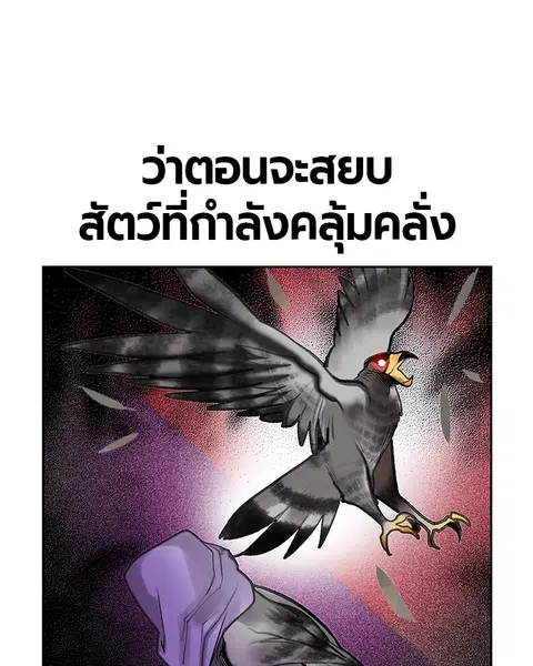 หน้า 142 จาก 168