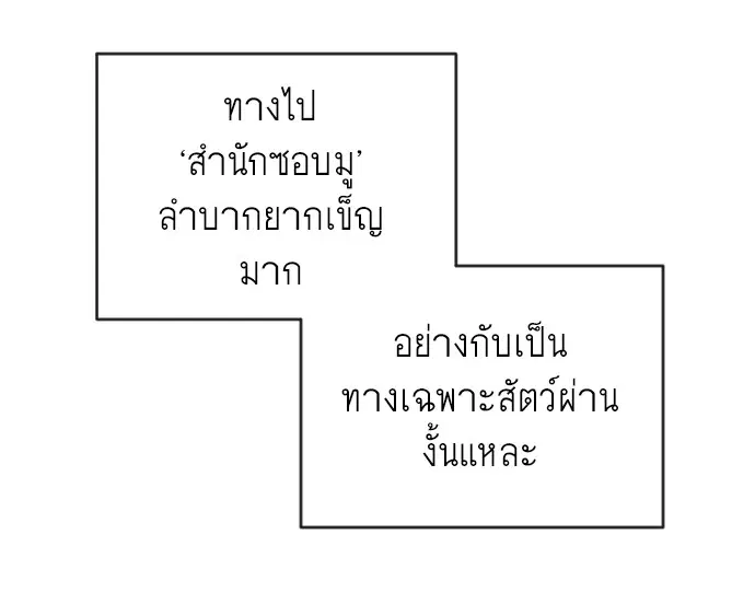 หน้า 98 จาก 120
