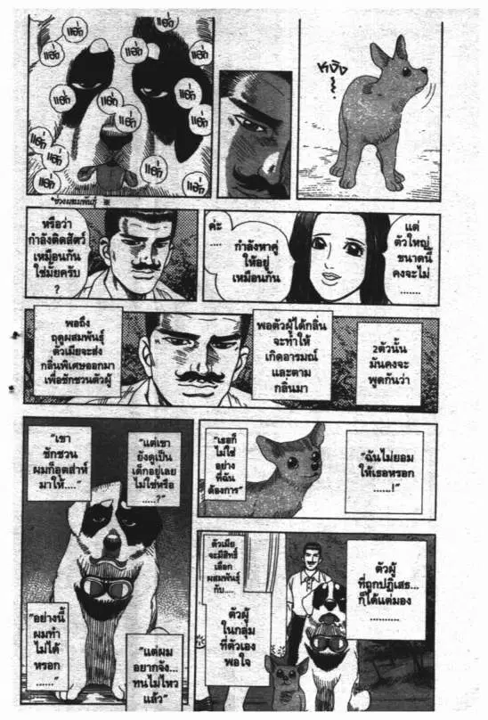 หน้า 9 จาก 21