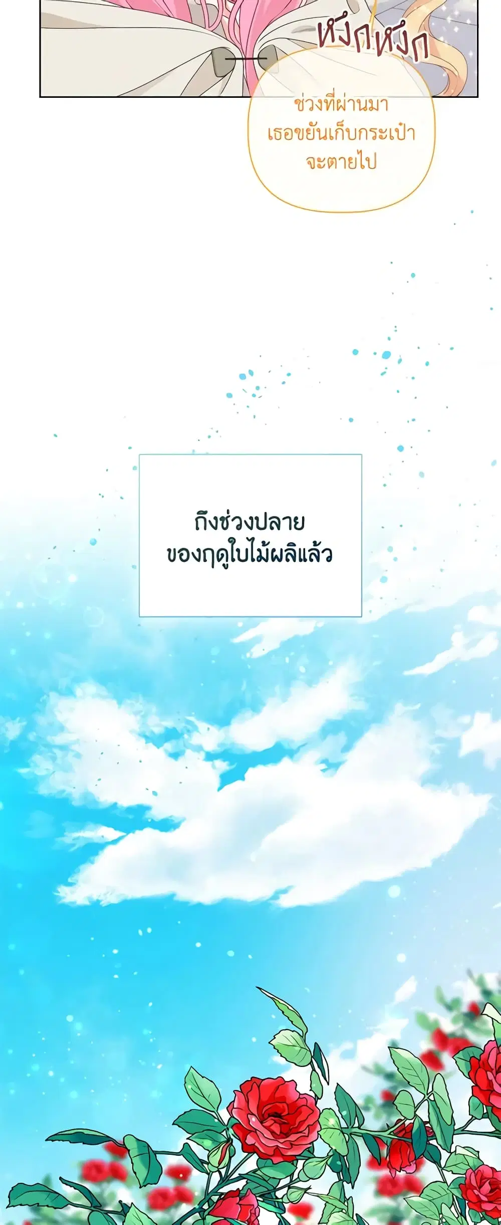 หน้า 24 จาก 62