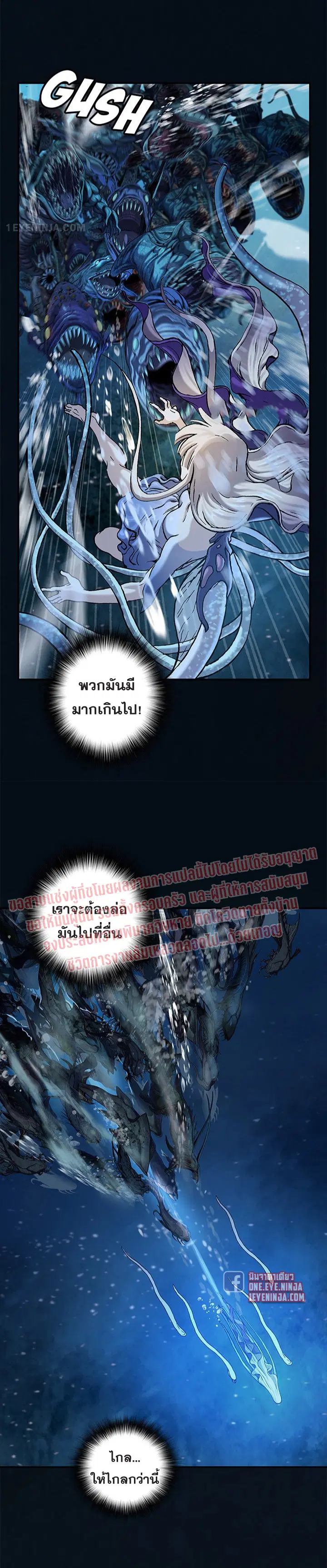 หน้า 13 จาก 17