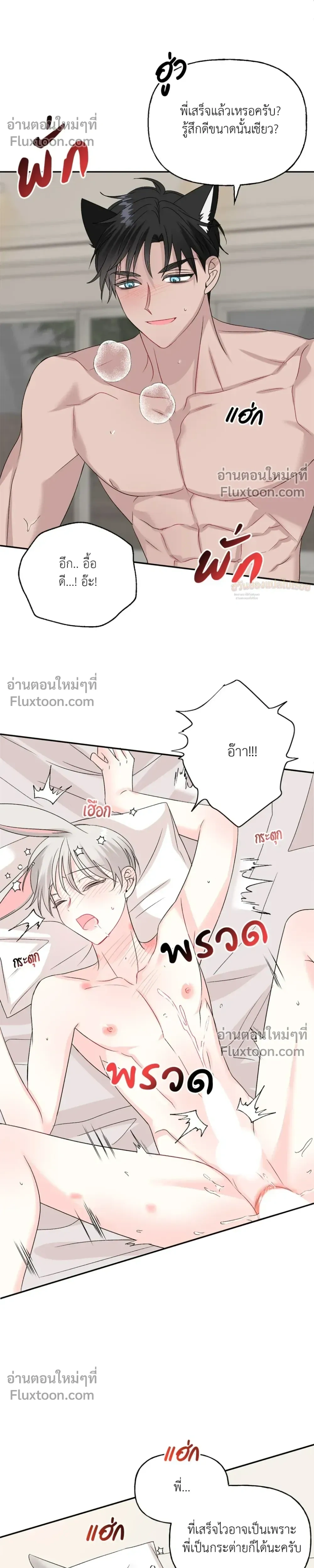 หน้า 17 จาก 29